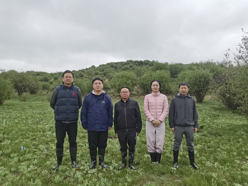 微信图片_20250628185723.jpg 微信图片_20250628185723.jpg